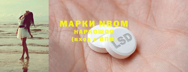гидра Кулебаки