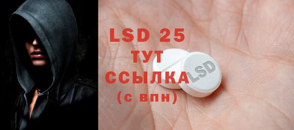 гидра Кулебаки
