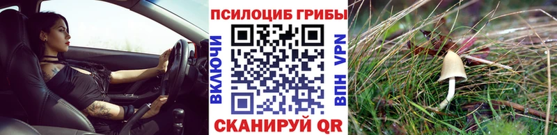 mega зеркало Мамадыш Псилоцибиновые грибы Magic Shrooms