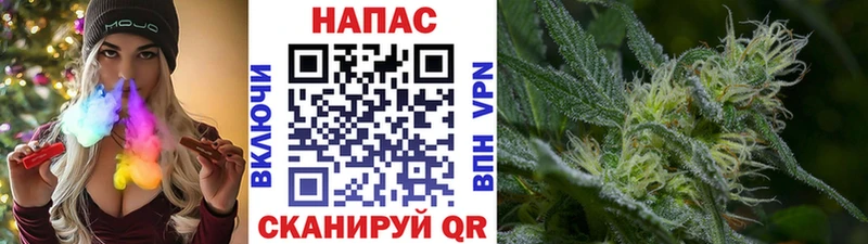 ссылка на мегу ссылки  Мамадыш  Бошки Шишки Bruce Banner 